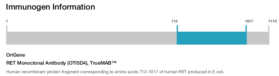 RET Monoclonal Antibody (OTI5D4), TrueMAB™