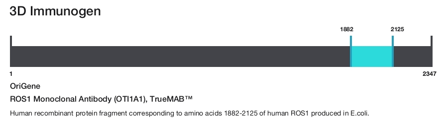 ROS1 Monoclonal Antibody (OTI1A1), TrueMAB&trade;
