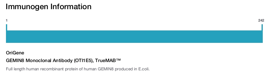 GEMIN8 Monoclonal Antibody (OTI1E5), TrueMAB™