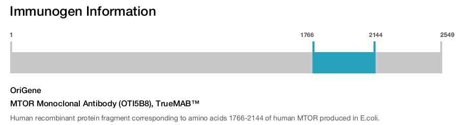 MTOR Monoclonal Antibody (OTI5B8), TrueMAB™