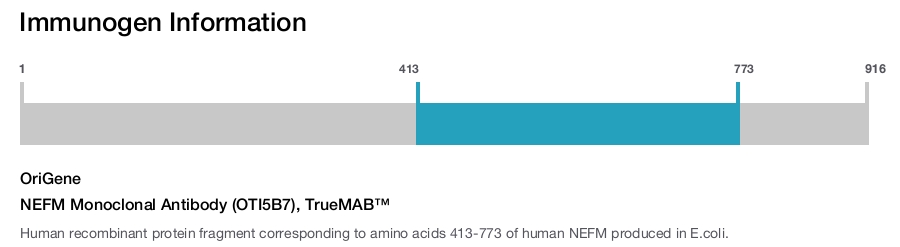 NEFM Monoclonal Antibody (OTI5B7), TrueMAB™