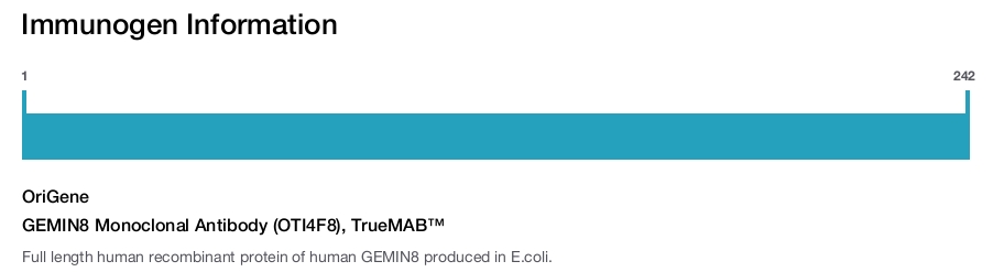 GEMIN8 Monoclonal Antibody (OTI4F8), TrueMAB™