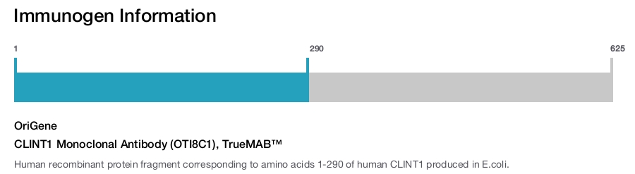 CLINT1 Monoclonal Antibody (OTI8C1), TrueMAB™