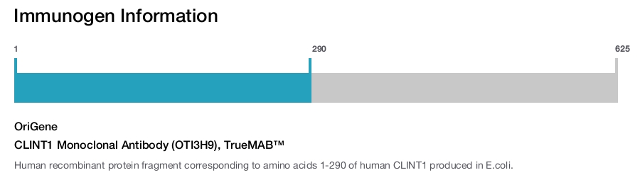 CLINT1 Monoclonal Antibody (OTI3H9), TrueMAB™