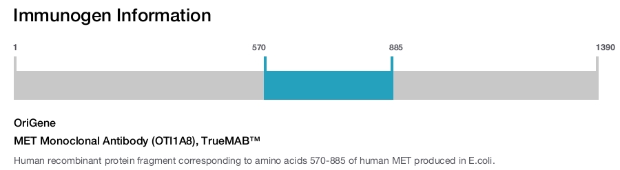 MET Monoclonal Antibody (OTI1A8), TrueMAB™