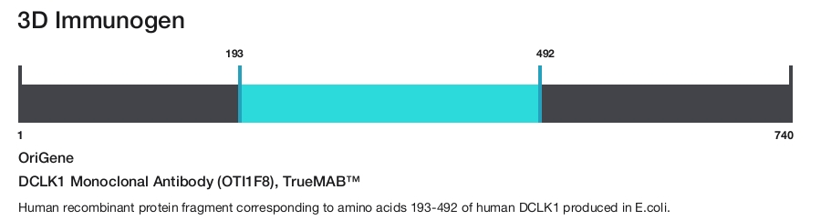 DCLK1 Monoclonal Antibody (OTI1F8), TrueMAB&trade;