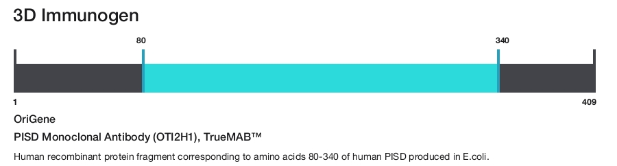 PISD Monoclonal Antibody (OTI2H1), TrueMAB&trade;