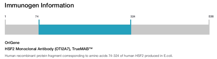 HSF2 Monoclonal Antibody (OTI2A7), TrueMAB™