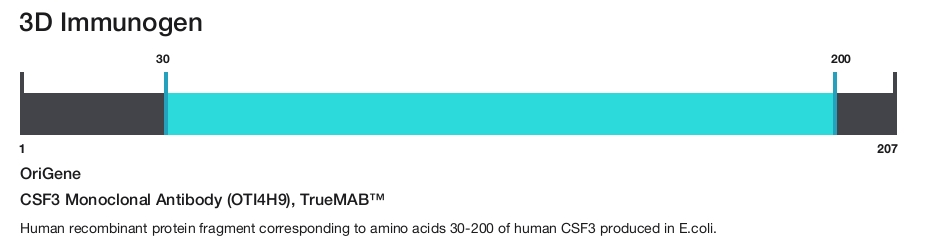 CSF3 Monoclonal Antibody (OTI4H9), TrueMAB&trade;