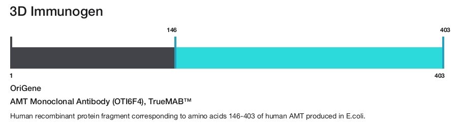 AMT Monoclonal Antibody (OTI6F4), TrueMAB&trade;