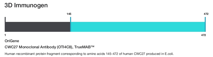 CWC27 Monoclonal Antibody (OTI4C8), TrueMAB&trade;