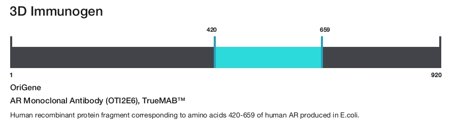 AR Monoclonal Antibody (OTI2E6), TrueMAB&trade;