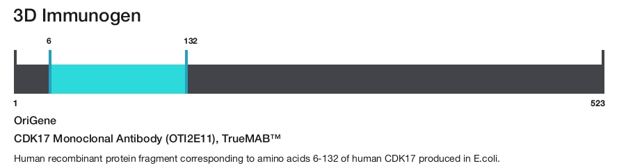 CDK17 Monoclonal Antibody (OTI2E11), TrueMAB&trade;