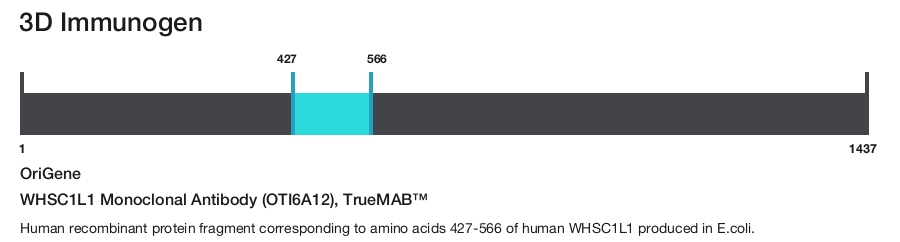 WHSC1L1 Monoclonal Antibody (OTI6A12), TrueMAB&trade;