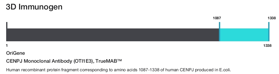 CENPJ Monoclonal Antibody (OTI1E3), TrueMAB&trade;
