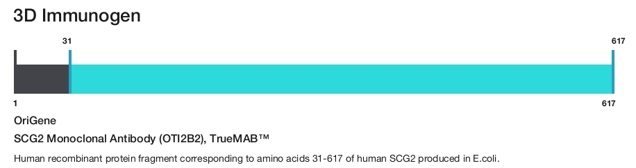 SCG2 Monoclonal Antibody (OTI2B2), TrueMAB&trade;