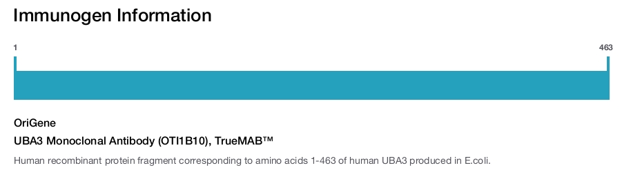 UBA3 Monoclonal Antibody (OTI1B10), TrueMAB™