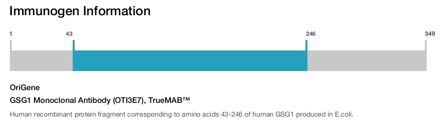 GSG1 Monoclonal Antibody (OTI3E7), TrueMAB™