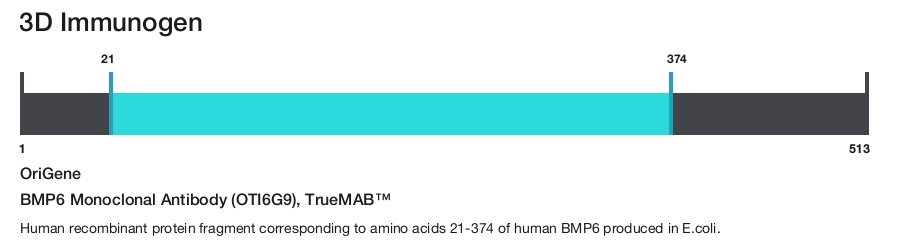 BMP6 Monoclonal Antibody (OTI6G9), TrueMAB&trade;