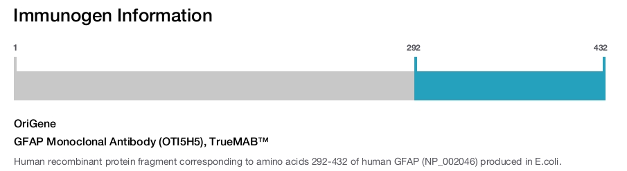 Immunogen Image GFAP Monoclonal Antibody (OTI5H5), TrueMAB™