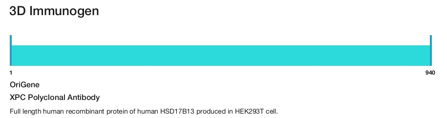 XPC Polyclonal Antibody