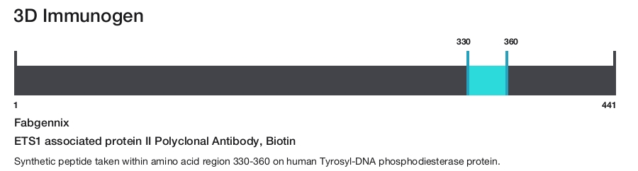 ETS1 associated protein II Polyclonal Antibody, Biotin