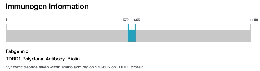 TDRD1 Polyclonal Antibody, Biotin