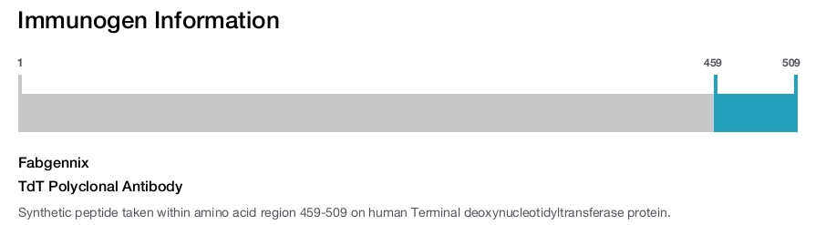TdT Polyclonal Antibody