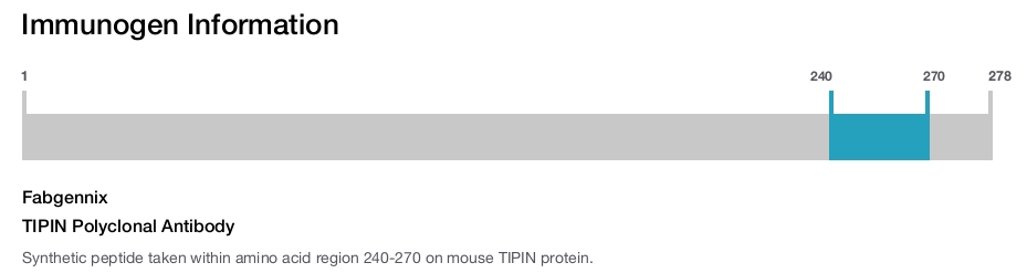 TIPIN Polyclonal Antibody