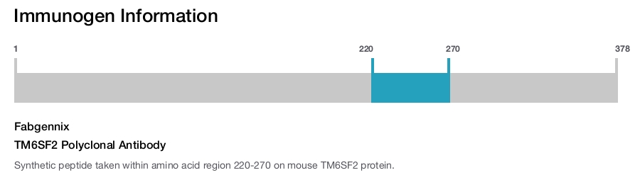 TM6SF2 Polyclonal Antibody