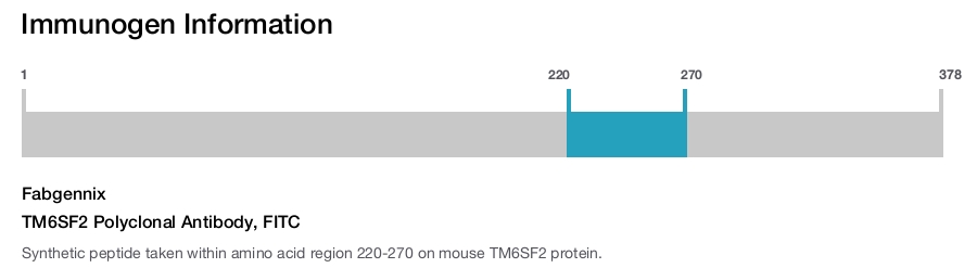 TM6SF2 Polyclonal Antibody, FITC