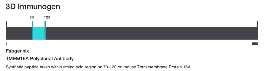 TMEM16A Polyclonal Antibody