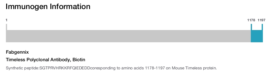 Timeless Polyclonal Antibody, Biotin