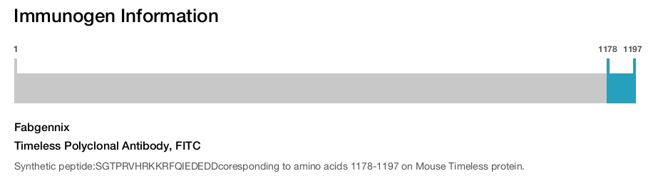 Timeless Polyclonal Antibody, FITC