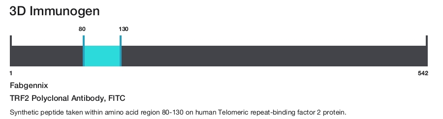 TRF2 Polyclonal Antibody, FITC