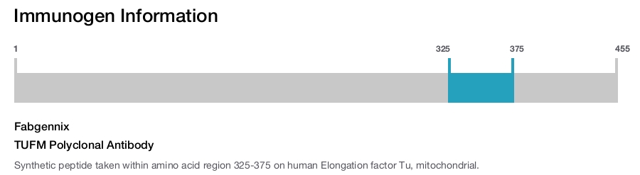 TUFM Polyclonal Antibody