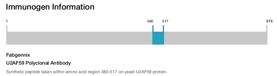 U2AF59 Polyclonal Antibody