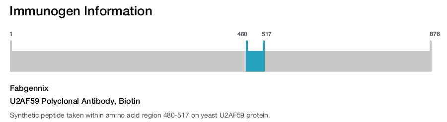 U2AF59 Polyclonal Antibody, Biotin