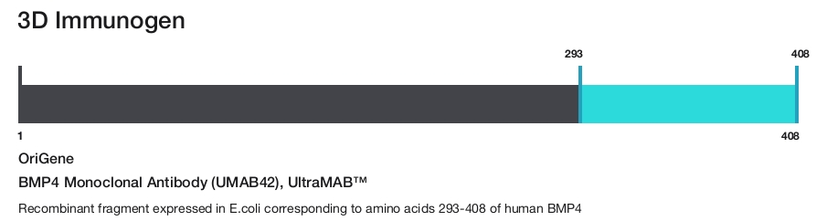 BMP4 Monoclonal Antibody (UMAB42), UltraMAB&trade;