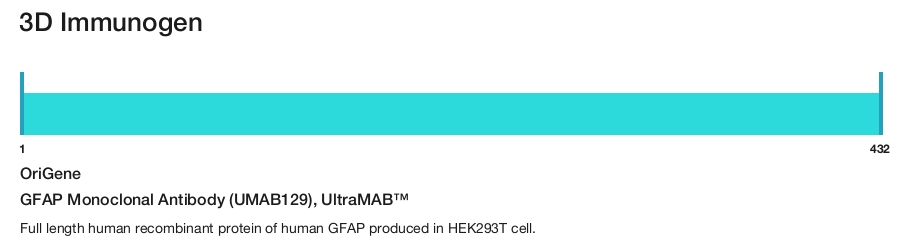 GFAP Monoclonal Antibody (UMAB129), UltraMAB&trade;
