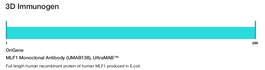 MLF1 Monoclonal Antibody (UMAB138), UltraMAB&trade;
