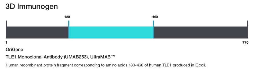 TLE1 Monoclonal Antibody (UMAB253), UltraMAB&trade;