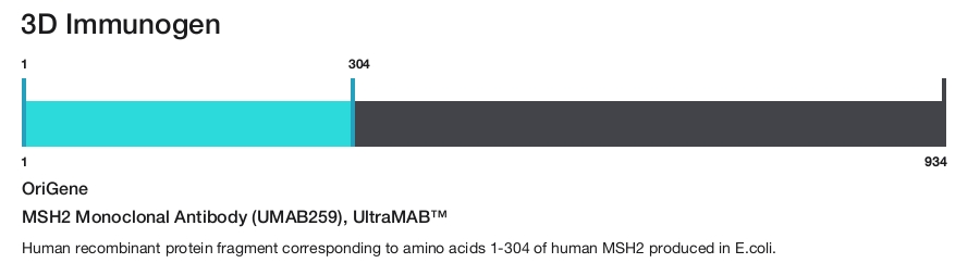 MSH2 Monoclonal Antibody (UMAB259), UltraMAB&trade;