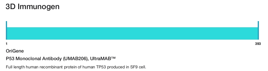 P53 Monoclonal Antibody (UMAB206), UltraMAB&trade;