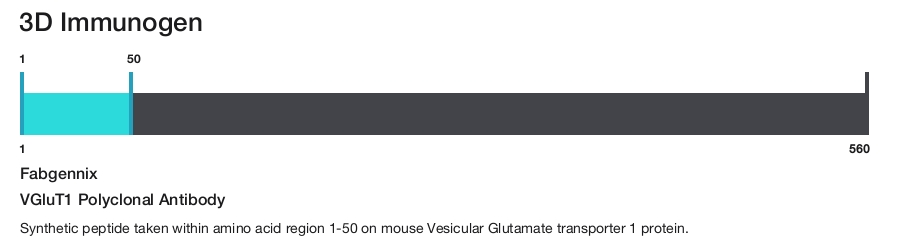 VGluT1 Polyclonal Antibody