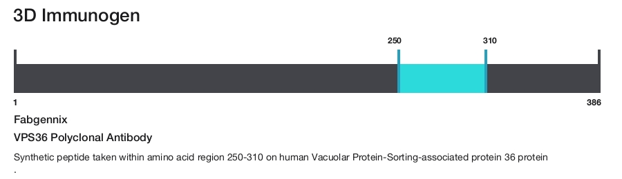 VPS36 Polyclonal Antibody