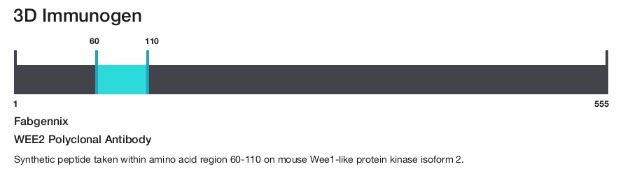 WEE2 Polyclonal Antibody