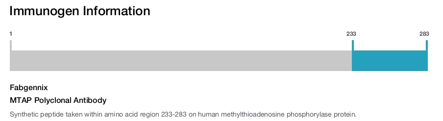 MTAP Polyclonal Antibody