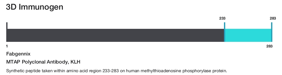 MTAP Polyclonal Antibody, KLH