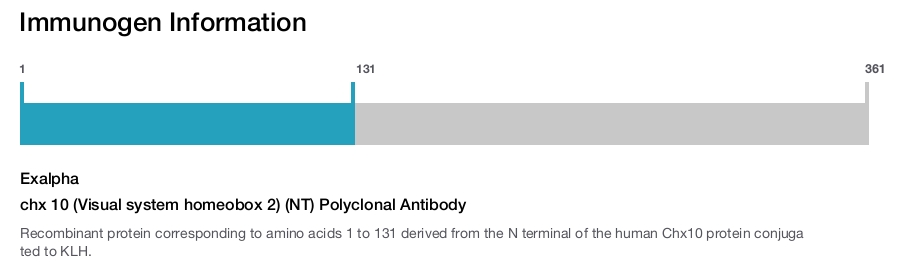 chx 10 (Visual system homeobox 2) (NT) Polyclonal Antibody